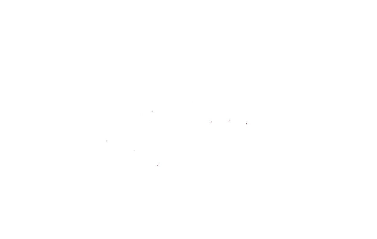Scrunchel